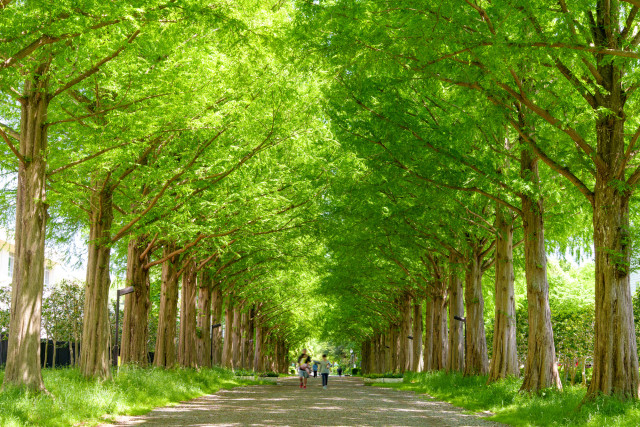 平塚市総合公園【平塚市】